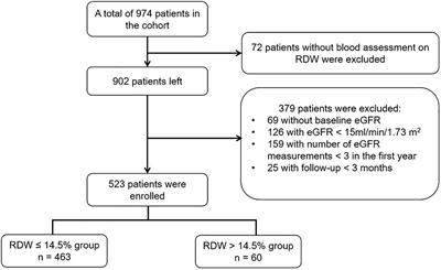 Red Blood Cell Distribution Width Is Associated With Adverse Kidney Outcomes in Patients With Chronic Kidney Disease